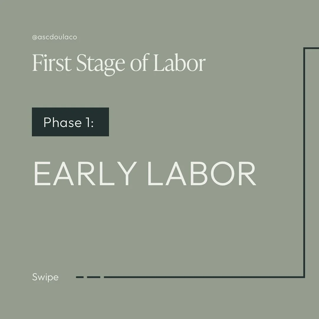 There are 3 stages of labor, and within the first stage we have 3 phases. Early labor is the longest phase of the first stage of labor⏱️

Your cervix is slowly opening (0&ndash;5 cm), contractions are still irregular, and you may notice signs like lo