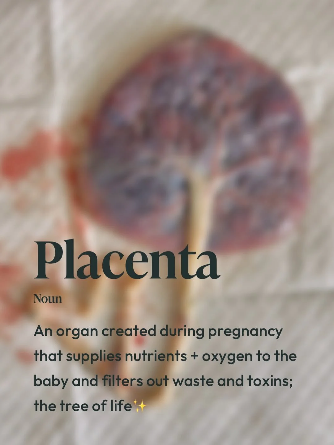 Tree of Life 😍✨

The placenta is an incredible organ created during pregnancy that attaches to the uterus and sustains your baby throughout gestation. It delivers nutrients and oxygen through the umbilical cord while helping filter waste. After your