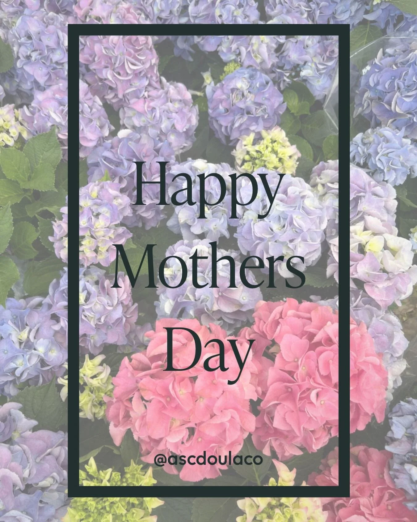 Happy Mother&rsquo;s Day 🤍🌷

Getting to support women as they become mothers, grow their families, and even walk through loss is one of the greatest honors of my life🫶🏼

I&rsquo;ve watched motherhood stretch women beyond what they thought they co