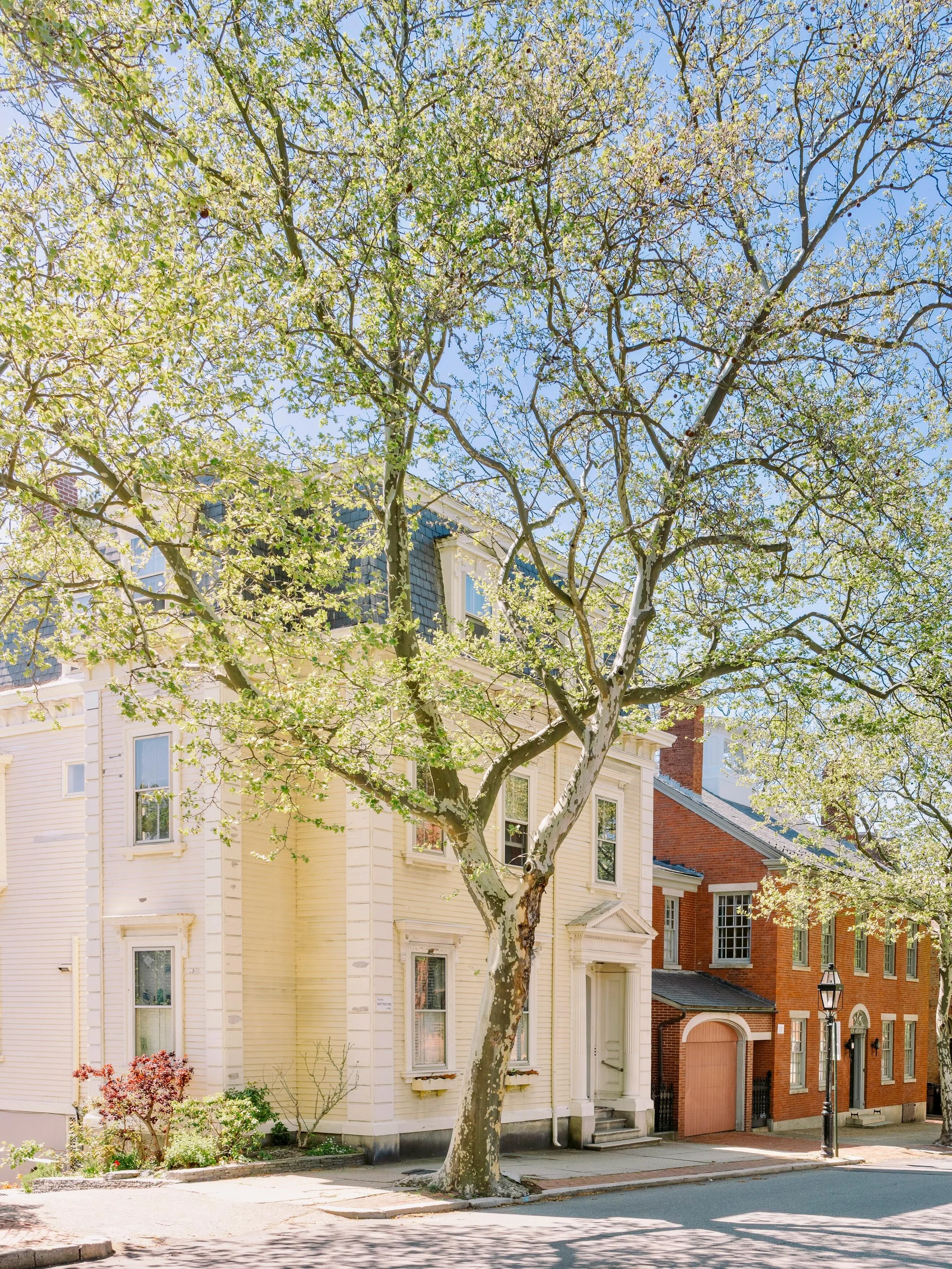A walk down Benefit Street during peak spring bloom is beyond dreamy.