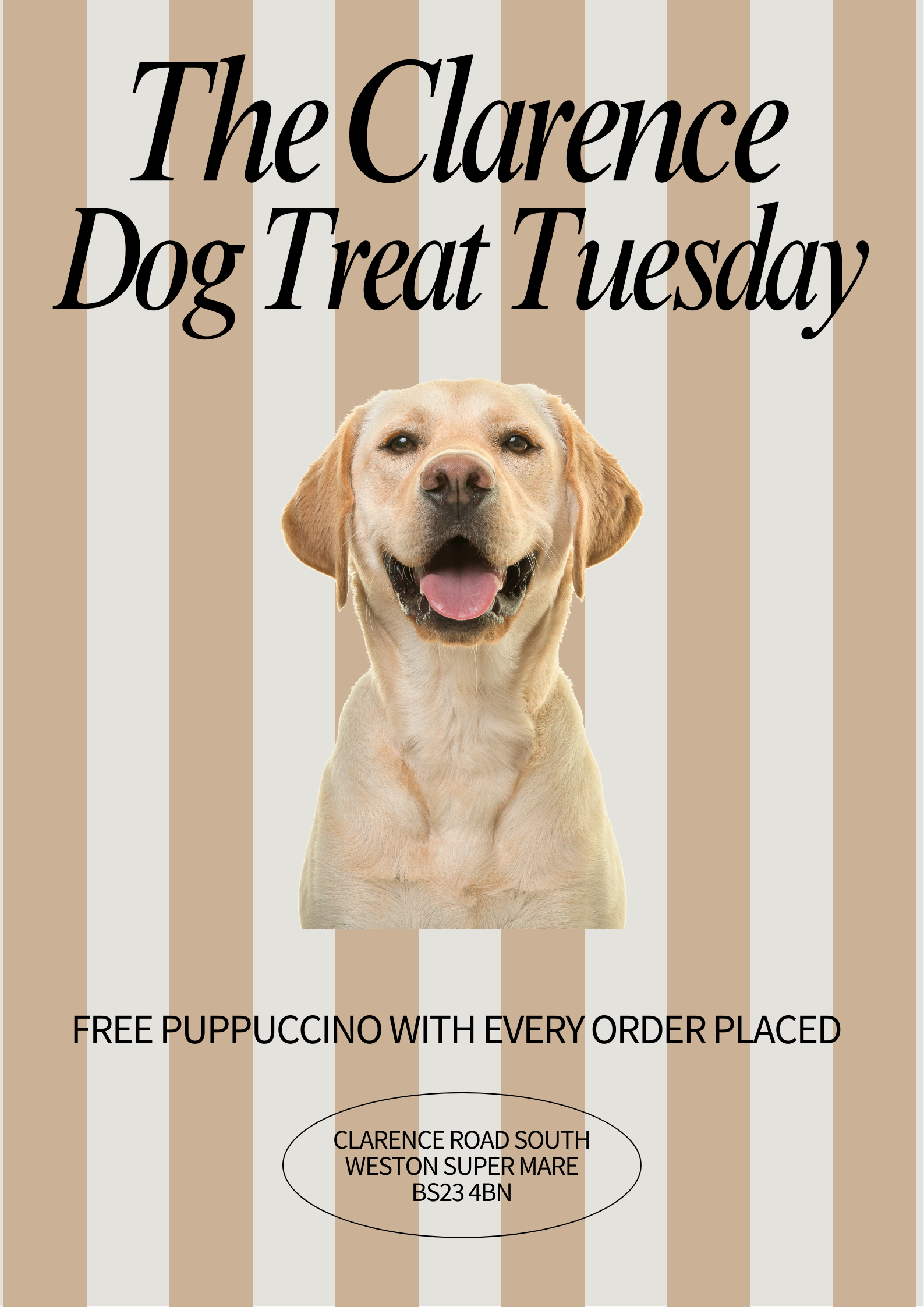 Puppuccino Deal Clarence.png