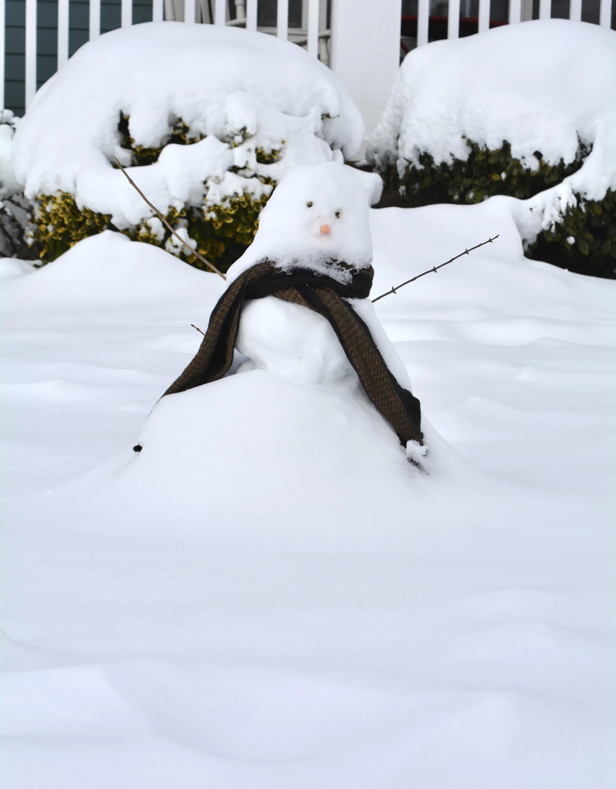 VIRTUAL Wandering & Wondering Winter 2026