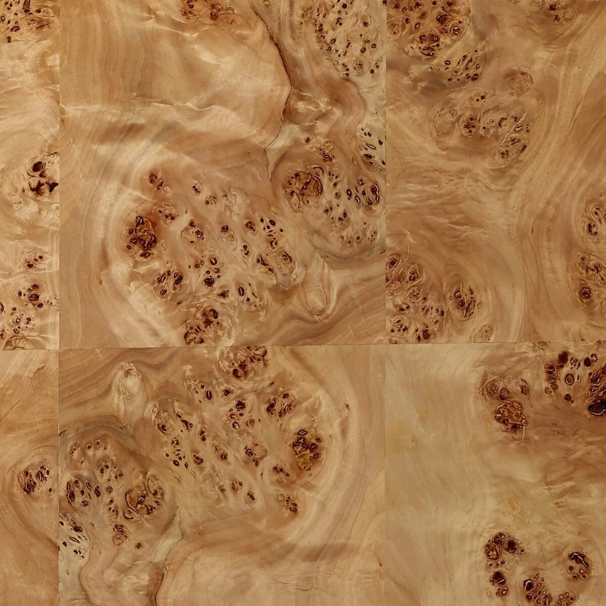 IC Natural Mappa Burl Writing Desk 5