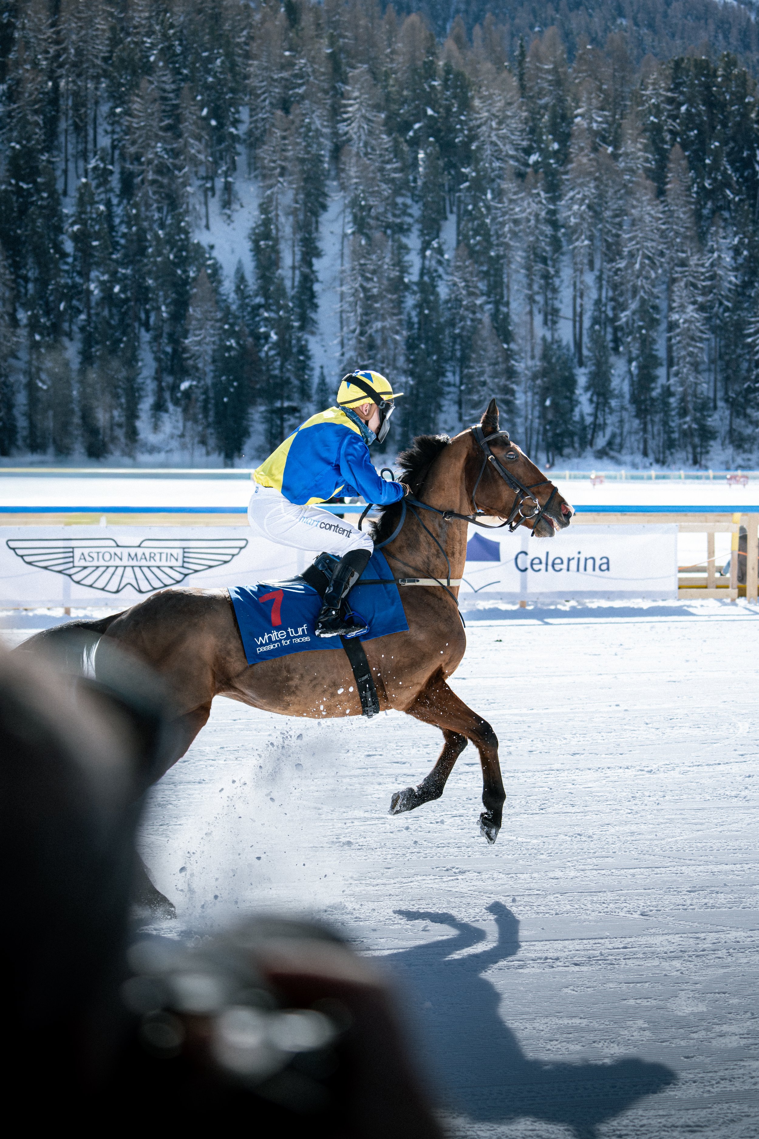 Horse Racing on Ice