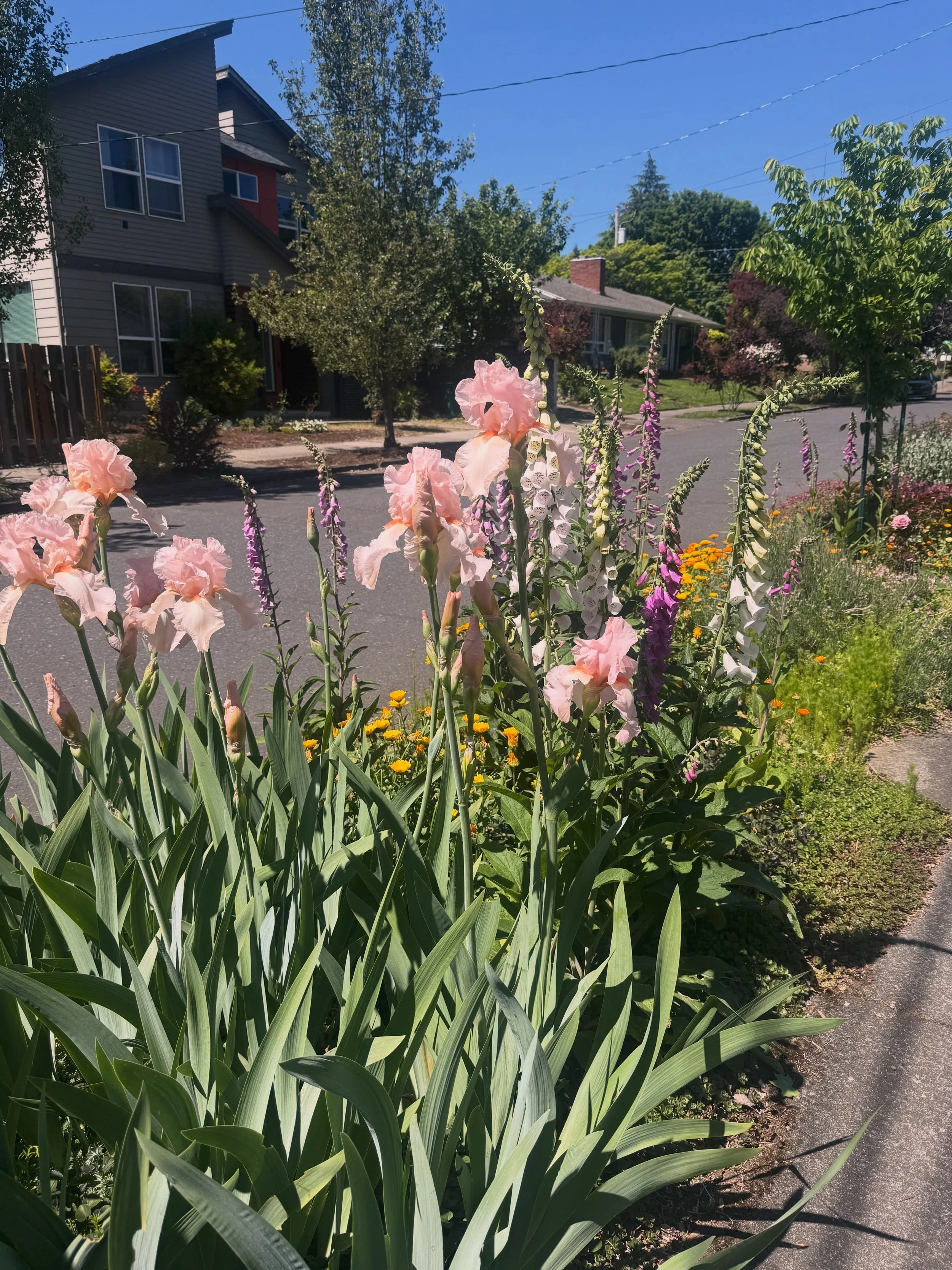 food, flowers and &amp; furniture