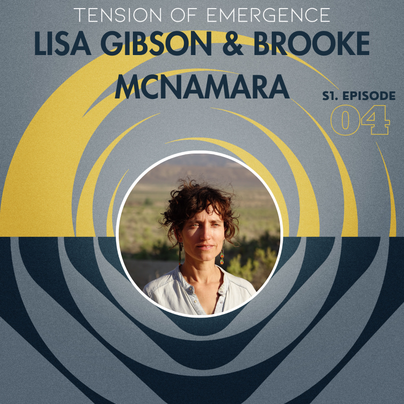 The Fierce Energetics of Renewal (Part 1) - with Lisa Gibson and Brooke McNamara