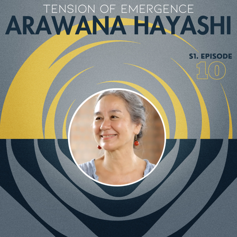 Our Body’s Wisdom: Making the Invisible Visible -with Arawana Hayashi