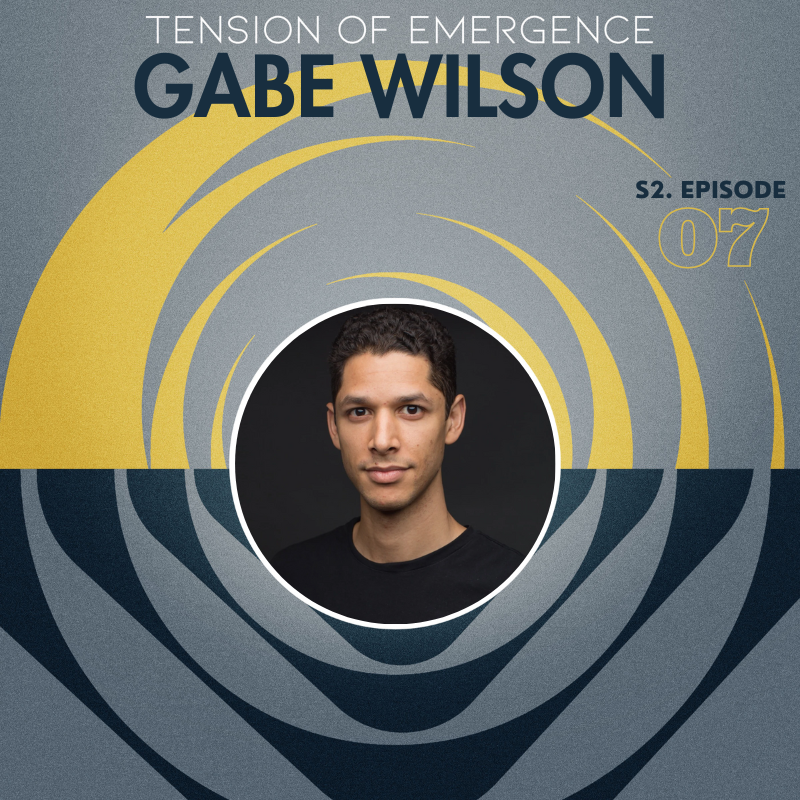 What do you Stand For? An Invitation to More Freedom and Fairness with Gabe Wilson