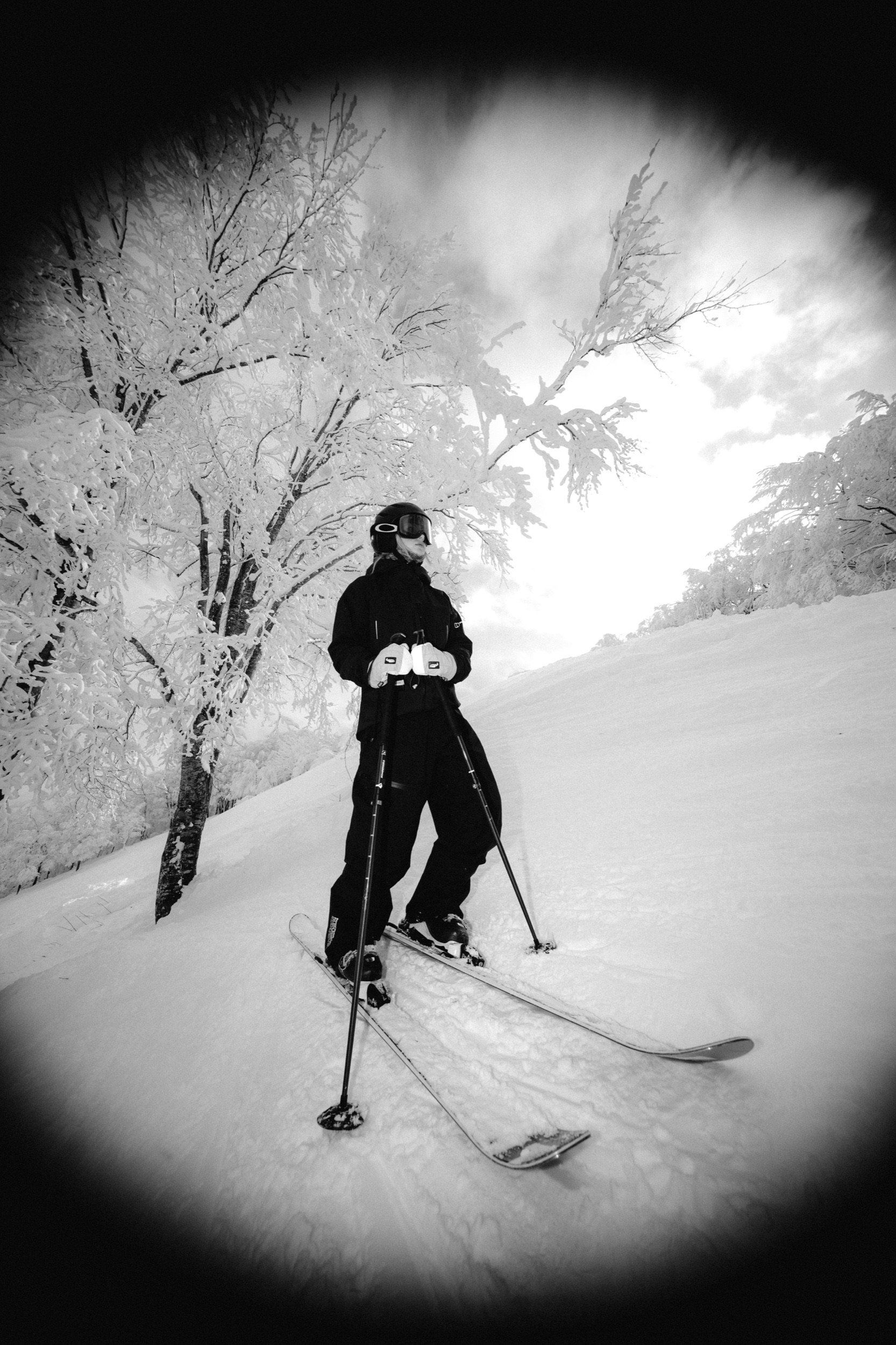 Skier on a ridge with snow-covered trees at Tangram Madarao, Japan