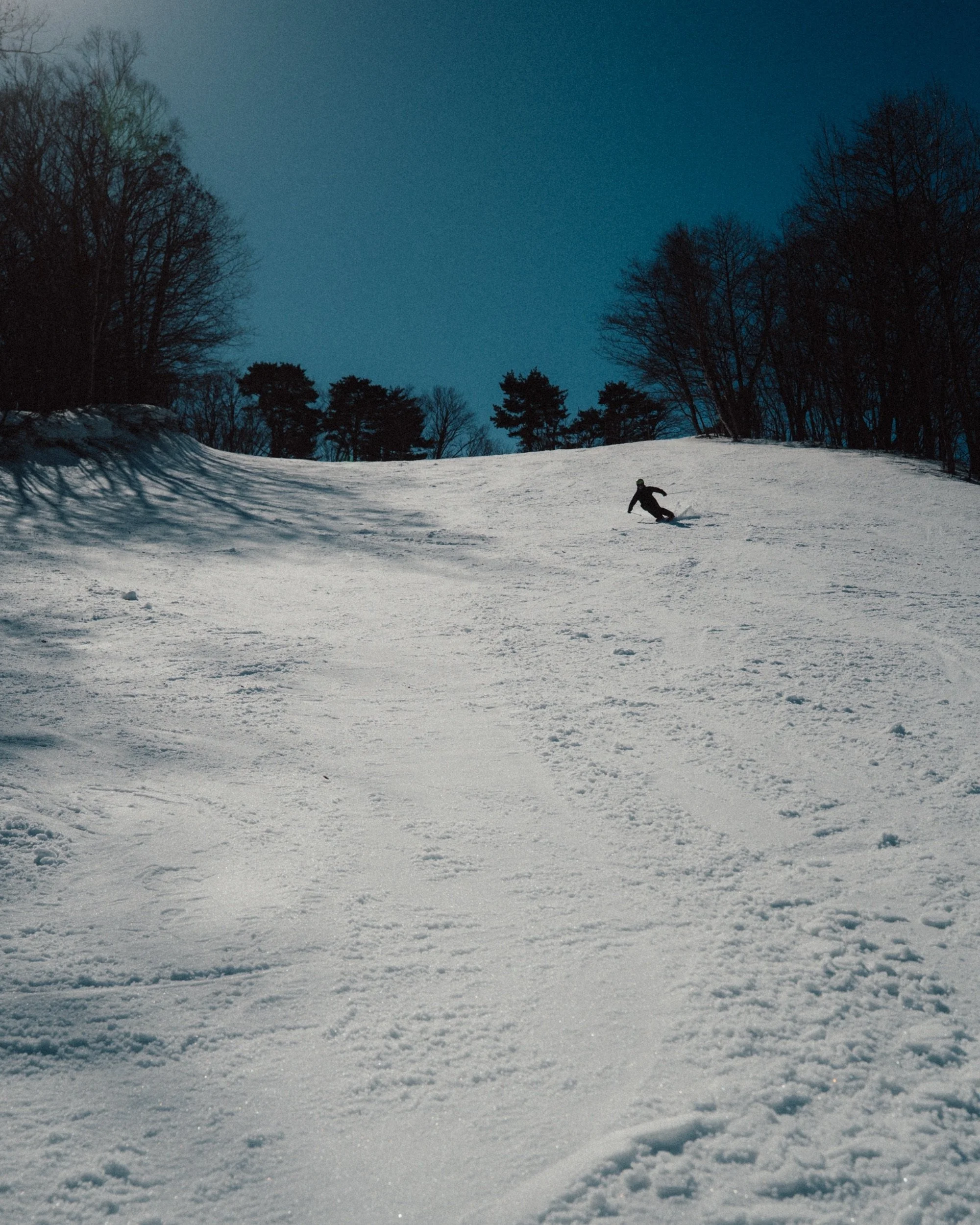 Skier between bare trees at dusk in Japan