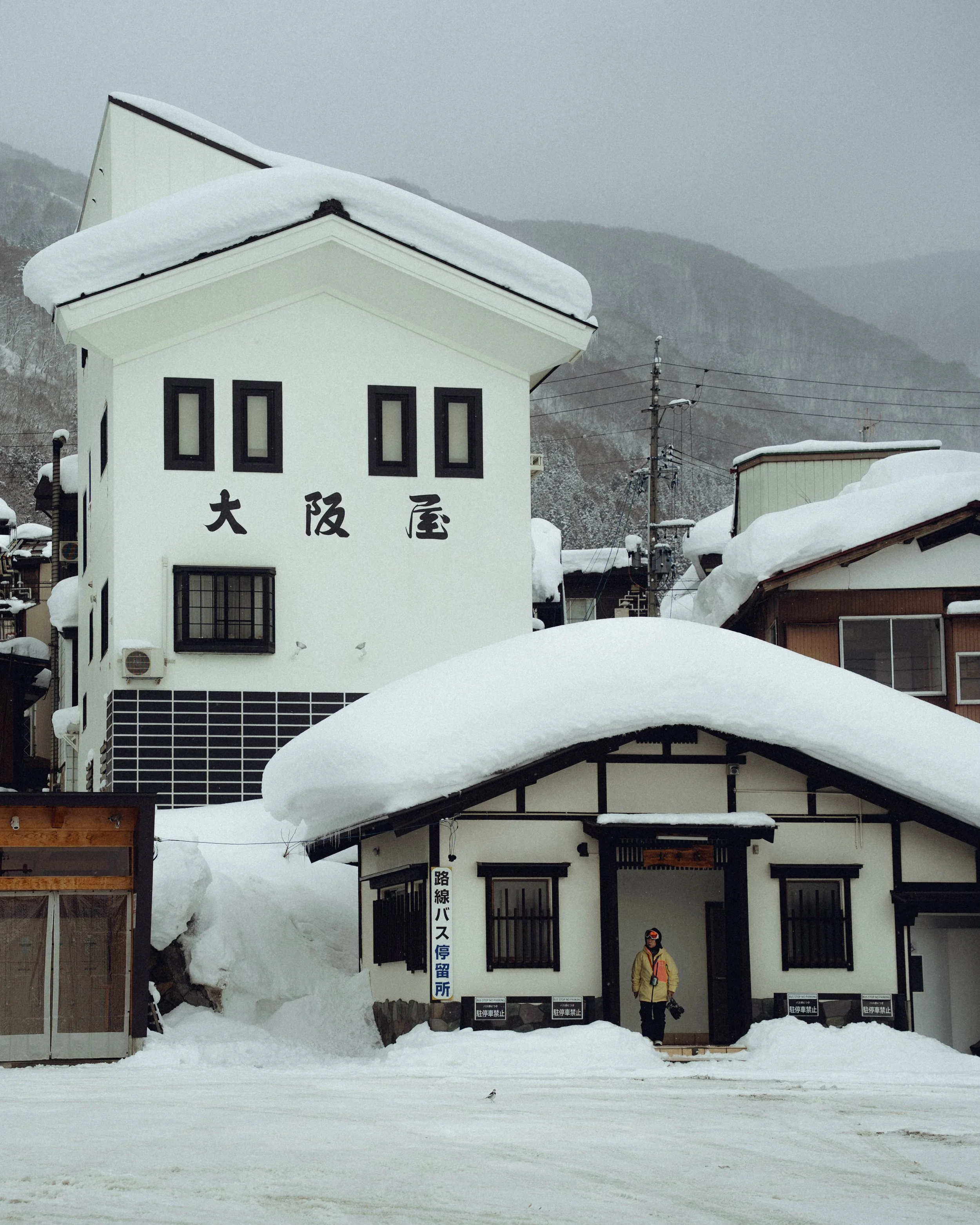 DSC04153.jpg