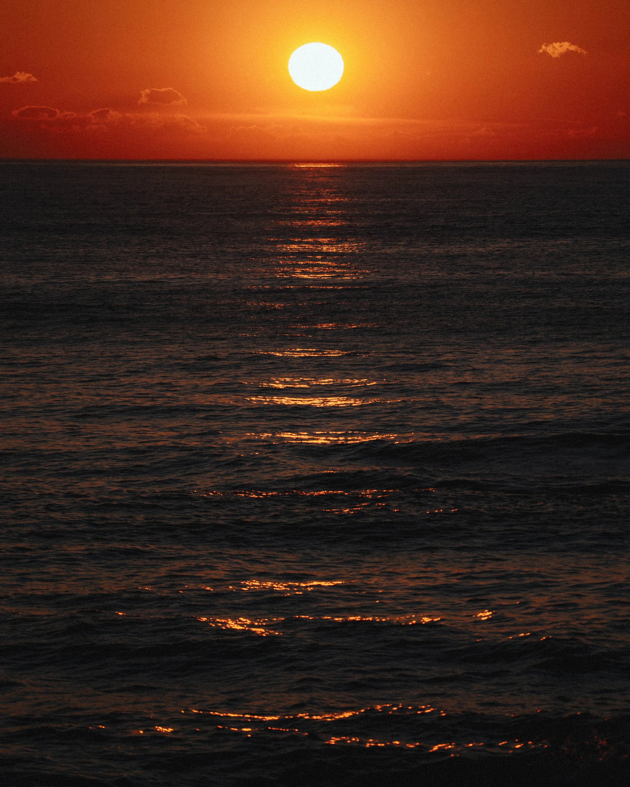 DSC07112.jpg