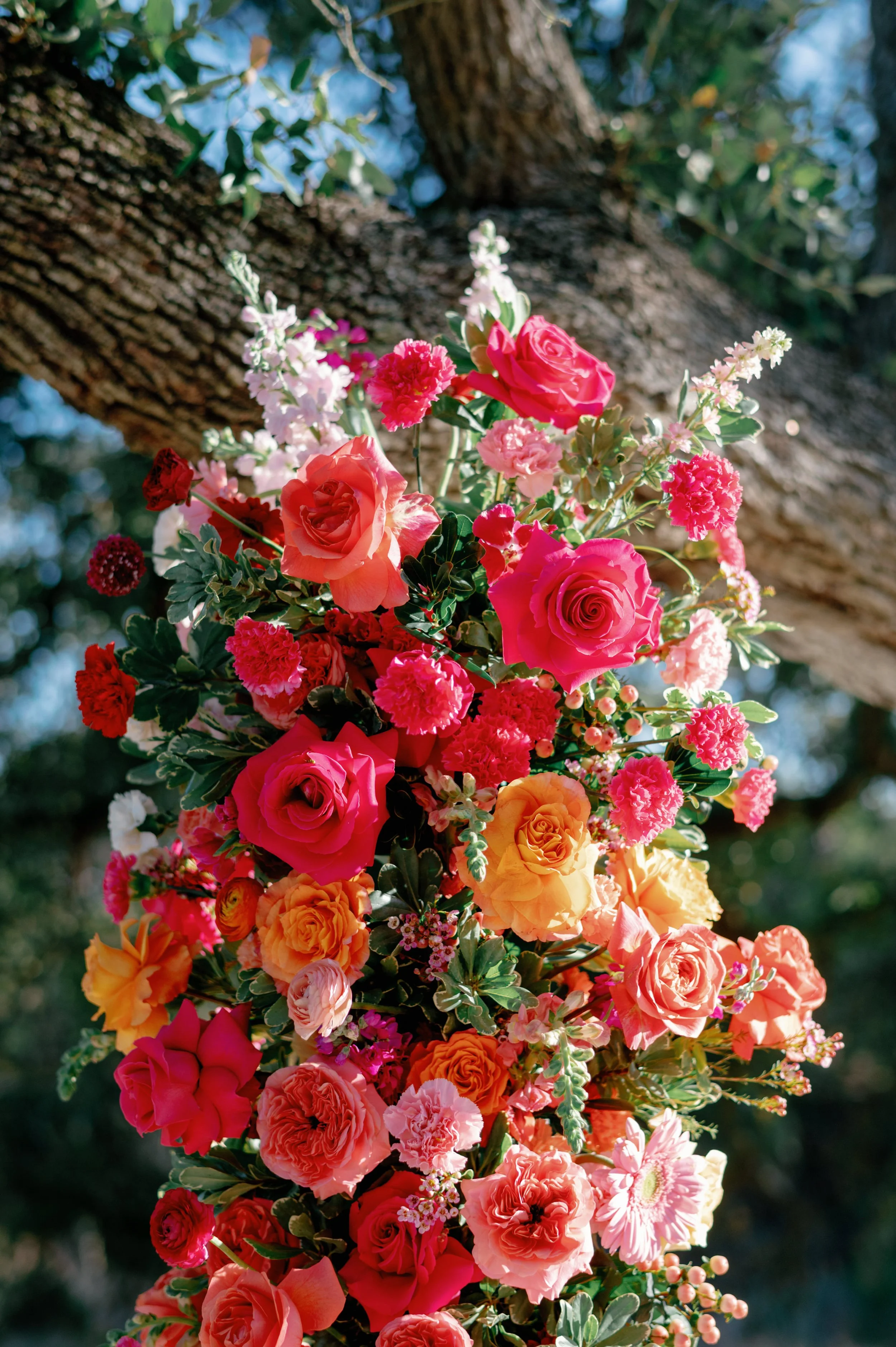 509_Lucy Rohan Wedding_Paige Vaughn Photo.JPG