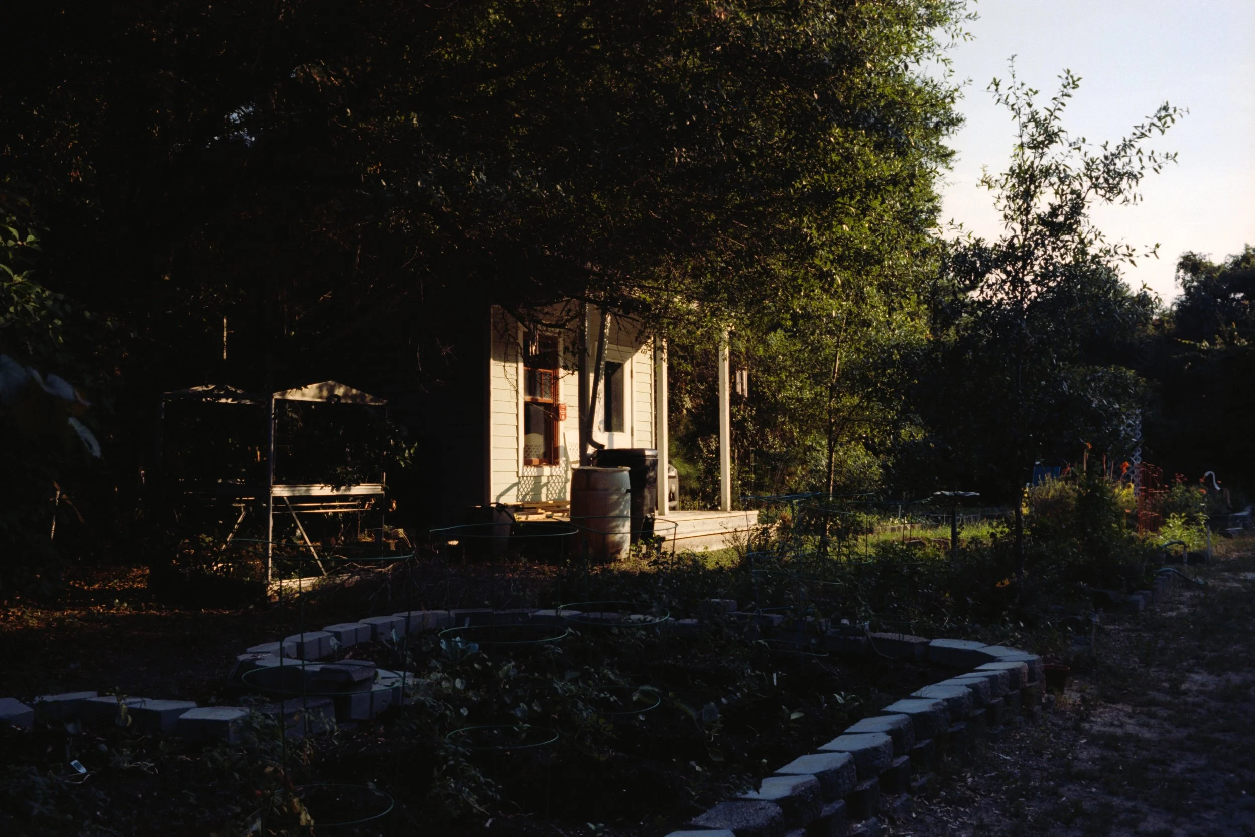 Roll M6.7.2025-10705.jpg