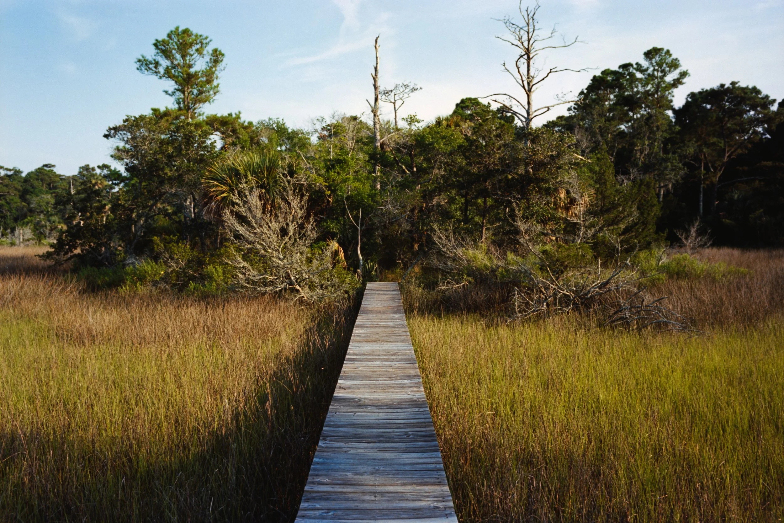 Roll M6.7.2025-10700.jpg