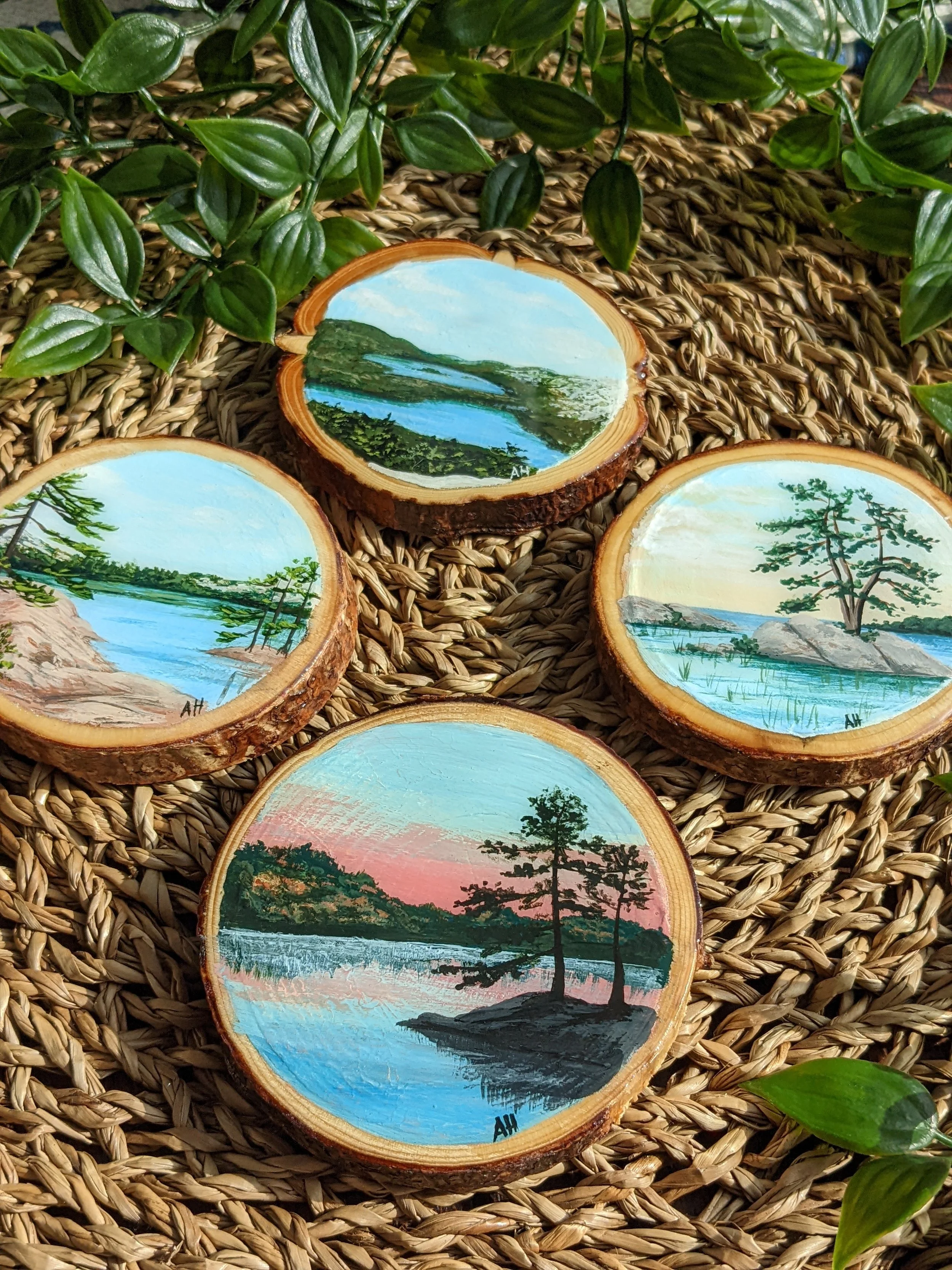 Custom set of hand-painted coasters, featuring The Crack Trail in Killarney Ontario, and various lake scene s from Killarney Ontario (2022)