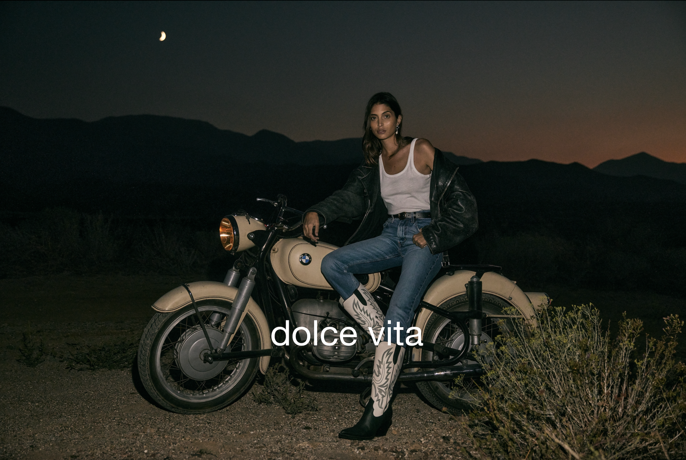 dolce vita dps white logo.jpg