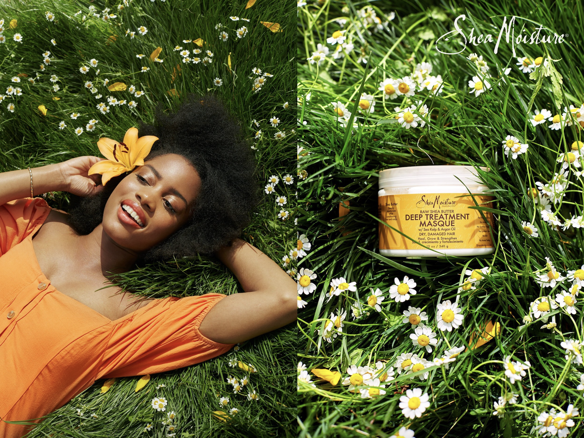 *replace BEAUTY logod shea moisture.jpg