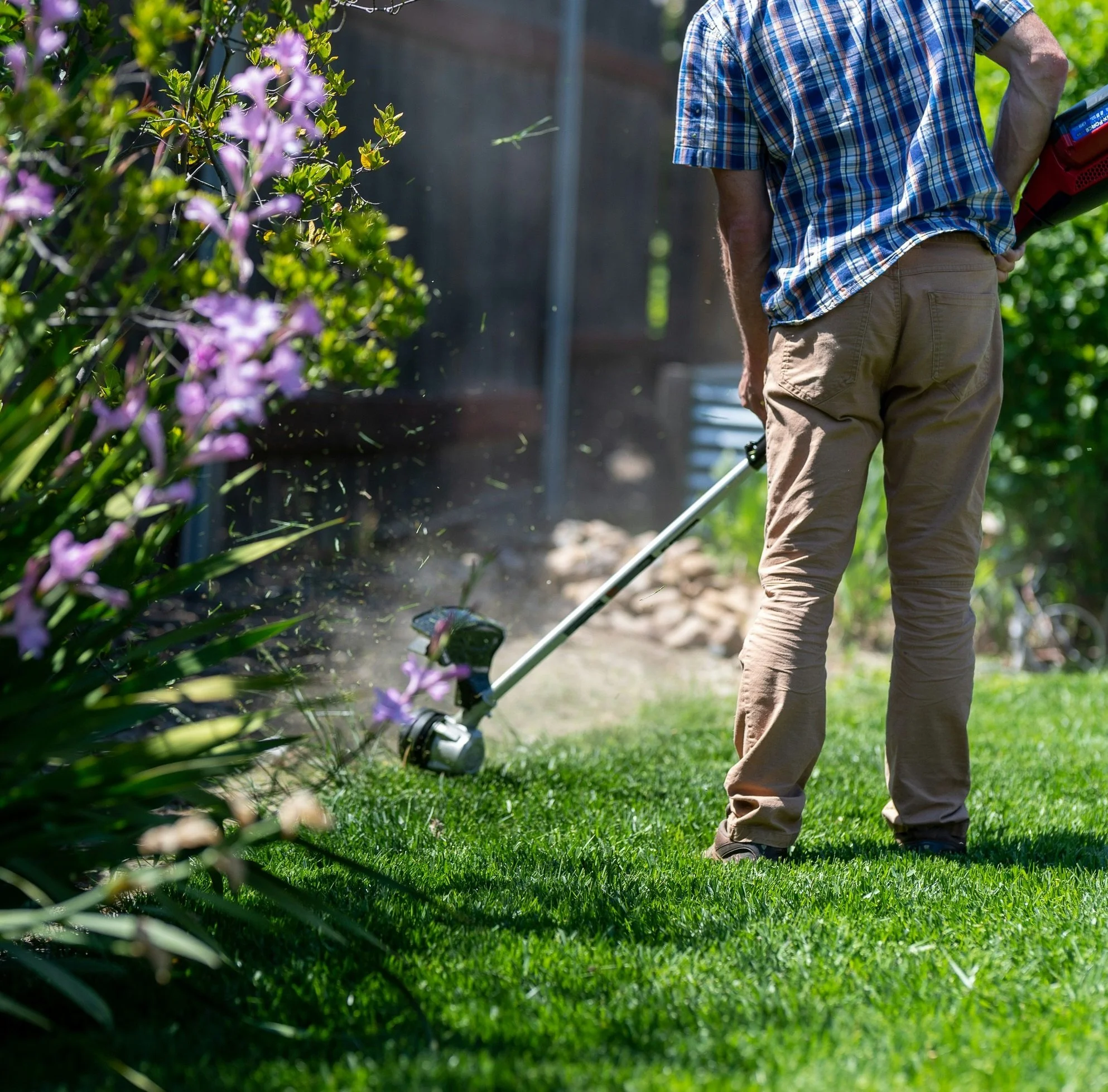 Servizi di giardinaggio e manutenzione del verde, inclusi taglio dell'erba e potatura, offerti da BB Stage and Sell