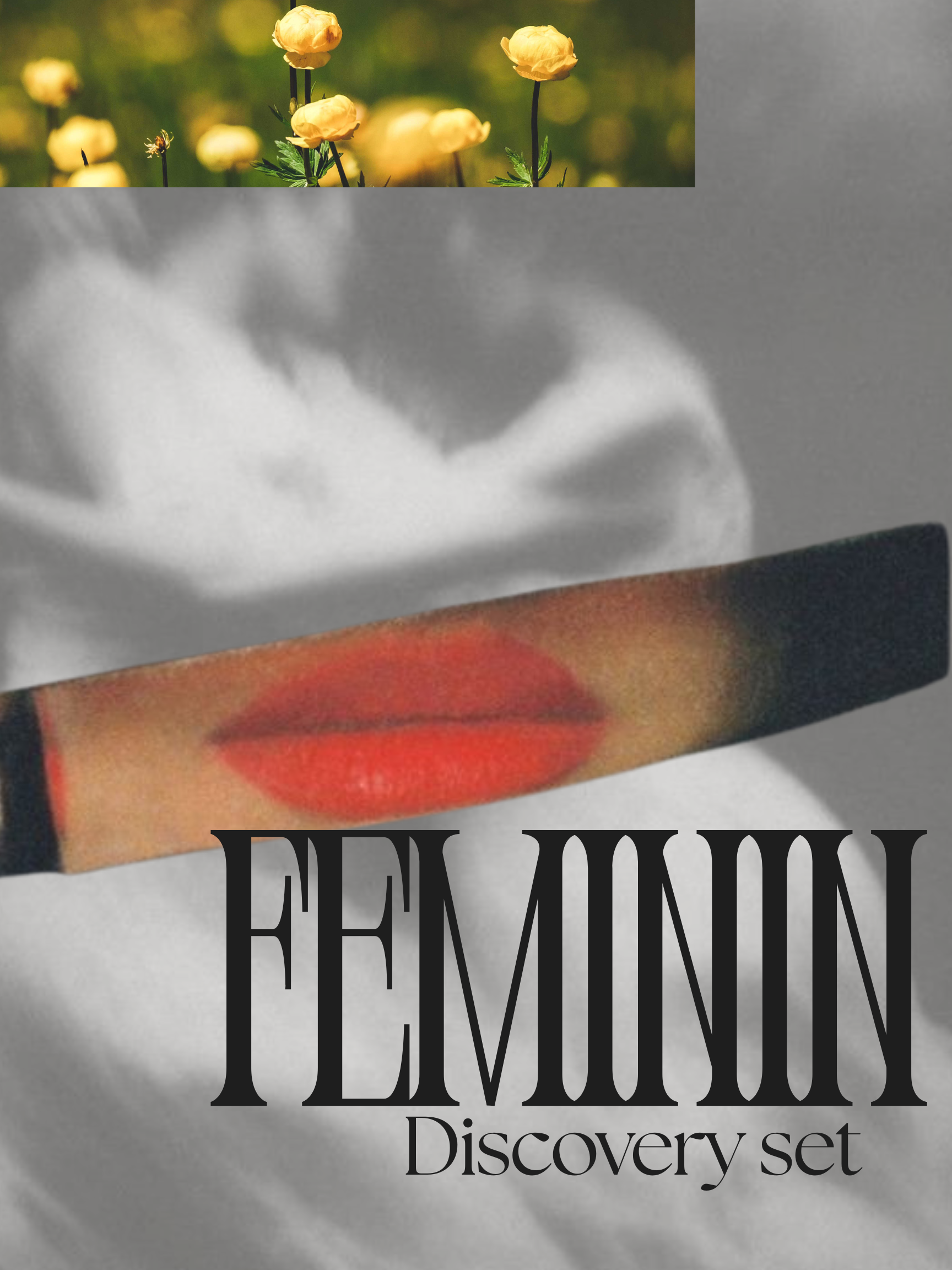 Feminin Discovery Set