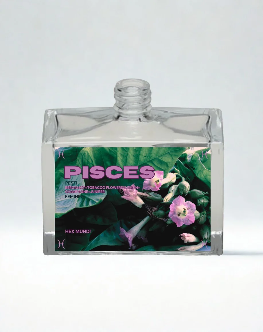 Untitled design - 1.png