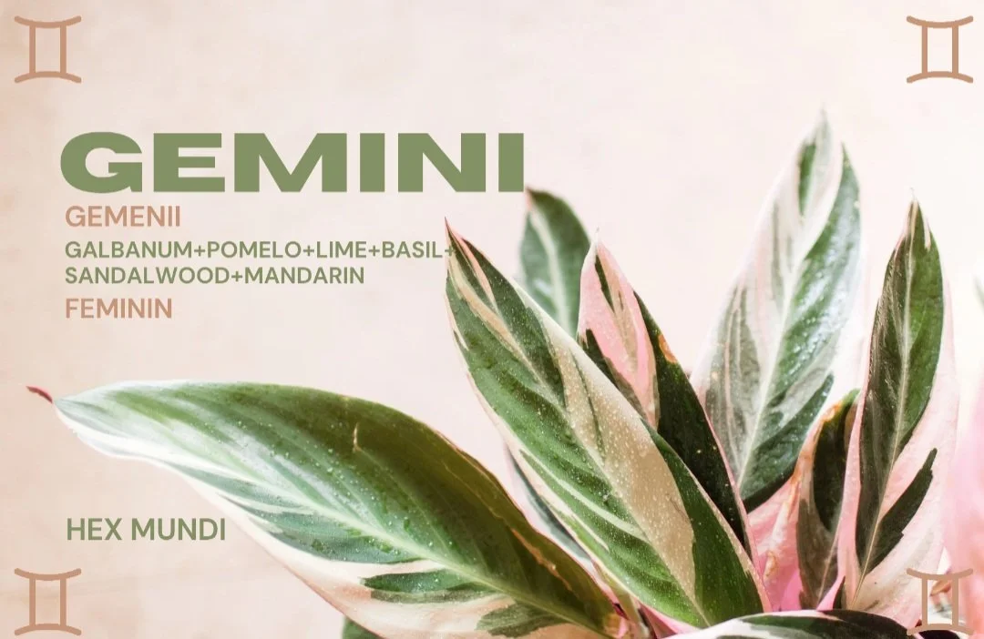 Gemini Parfum - Feminin