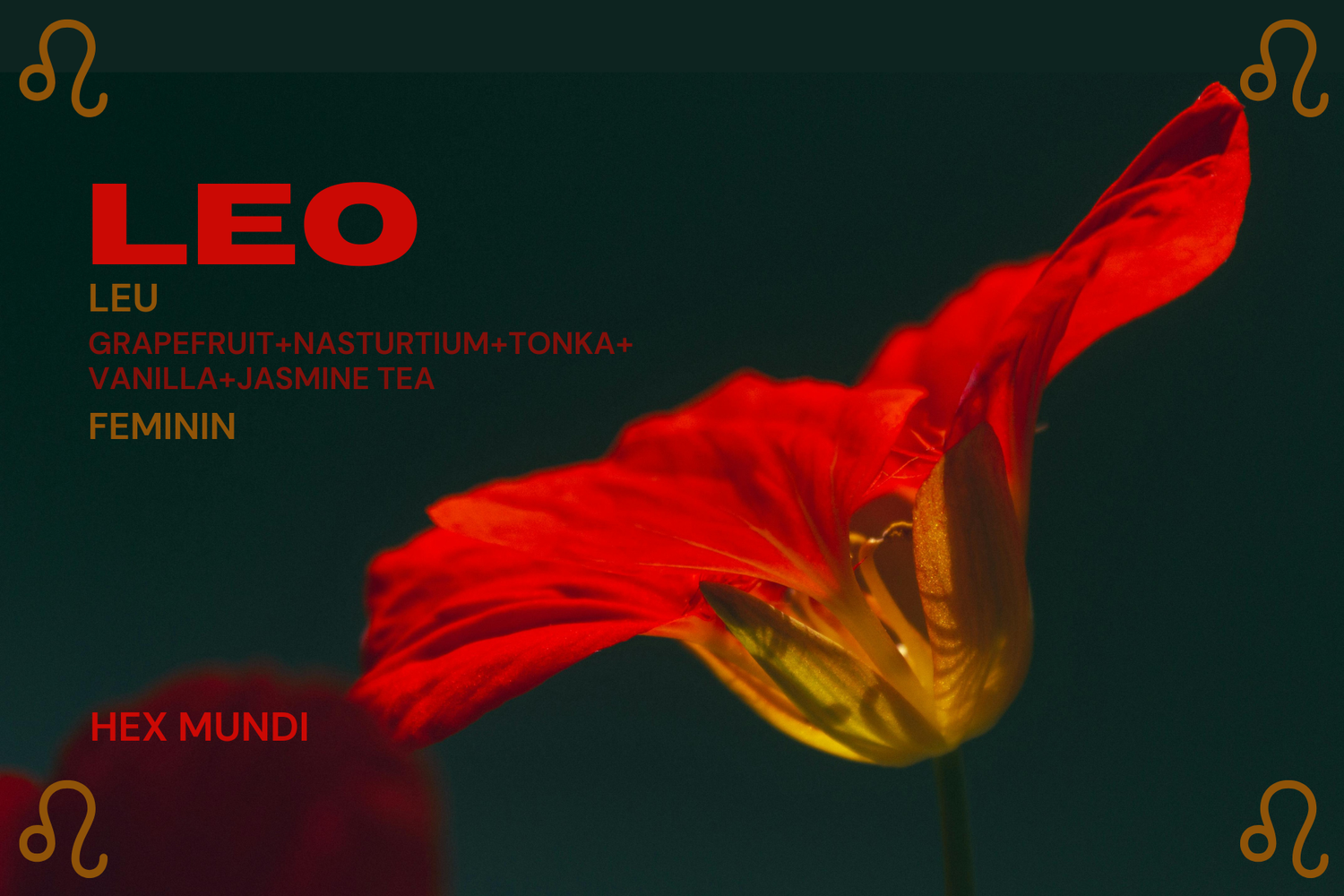 Leo Parfum - Feminin