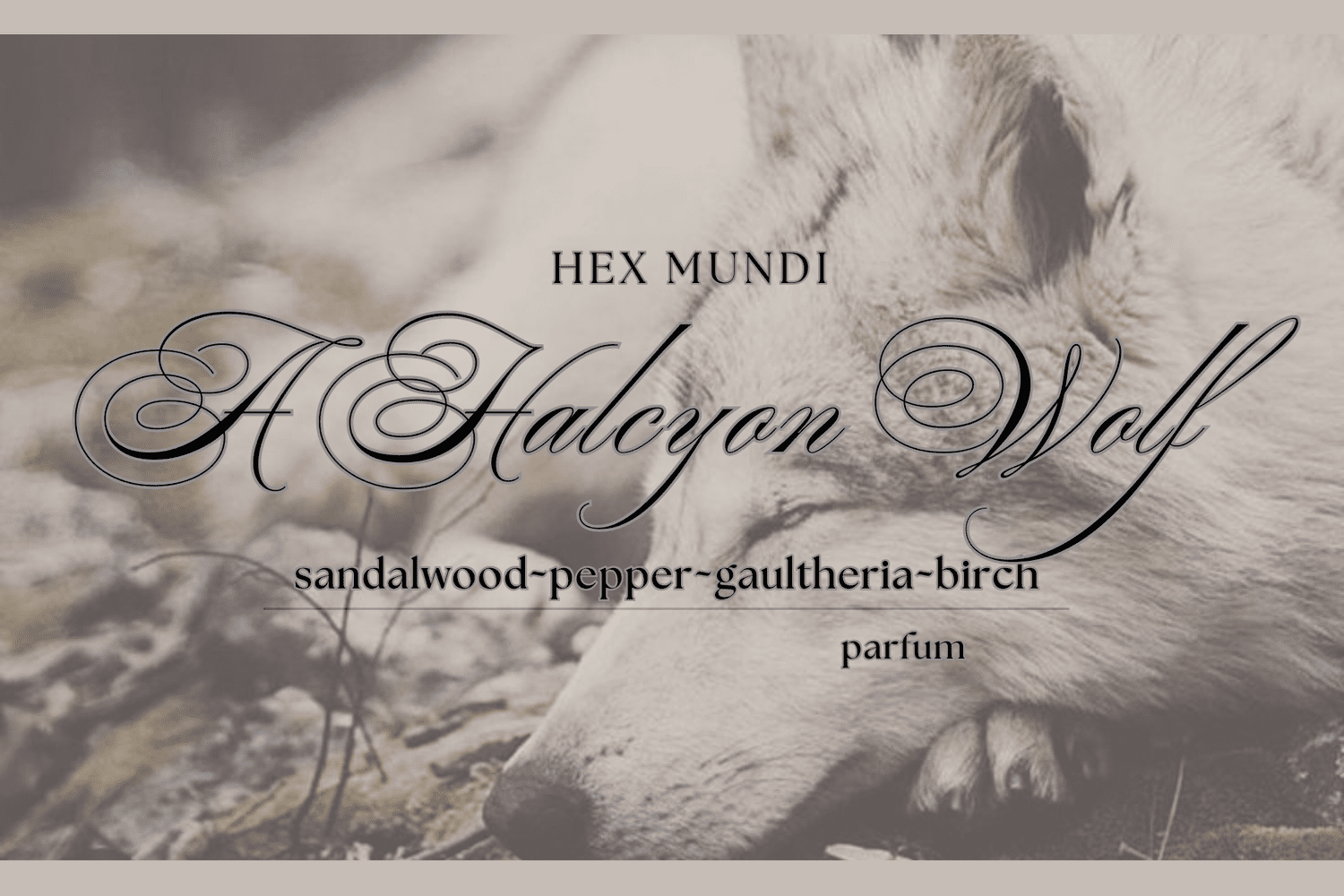 A Halcyon Wolf Parfum