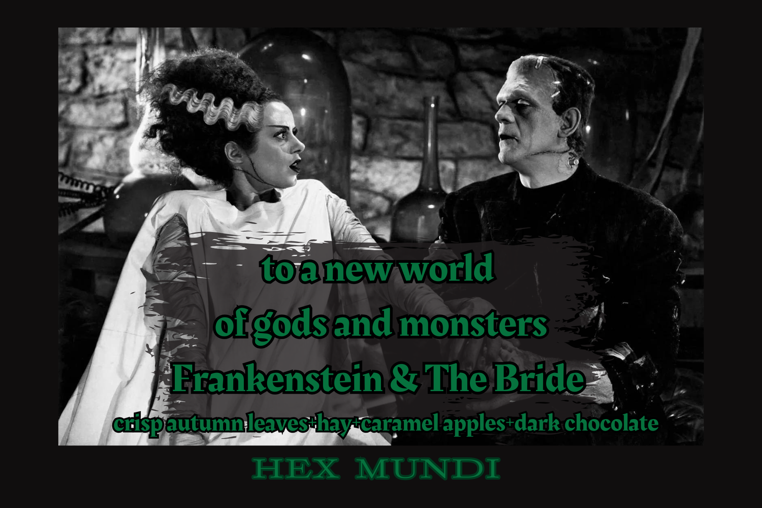 Frankenstein & The Bride Hand & Body Wash ~ Autumn Horrors Collection