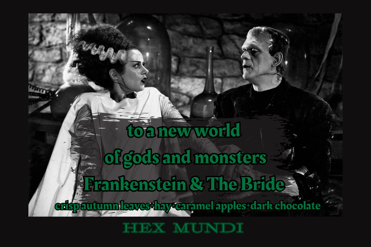 Frankenstein & The Bride Hand & Body Wash ~ Autumn Horrors Collection