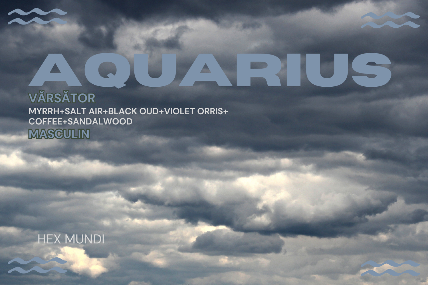 Aquarius Parfum - Masculin