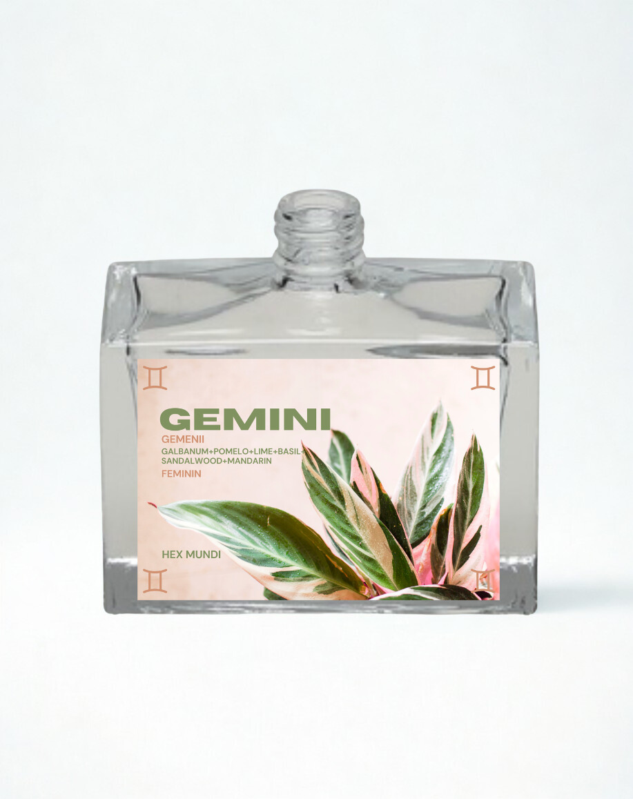 Untitled design - 1.png