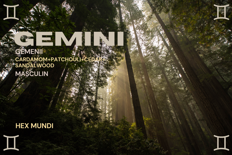 Gemini Parfum - Masculin