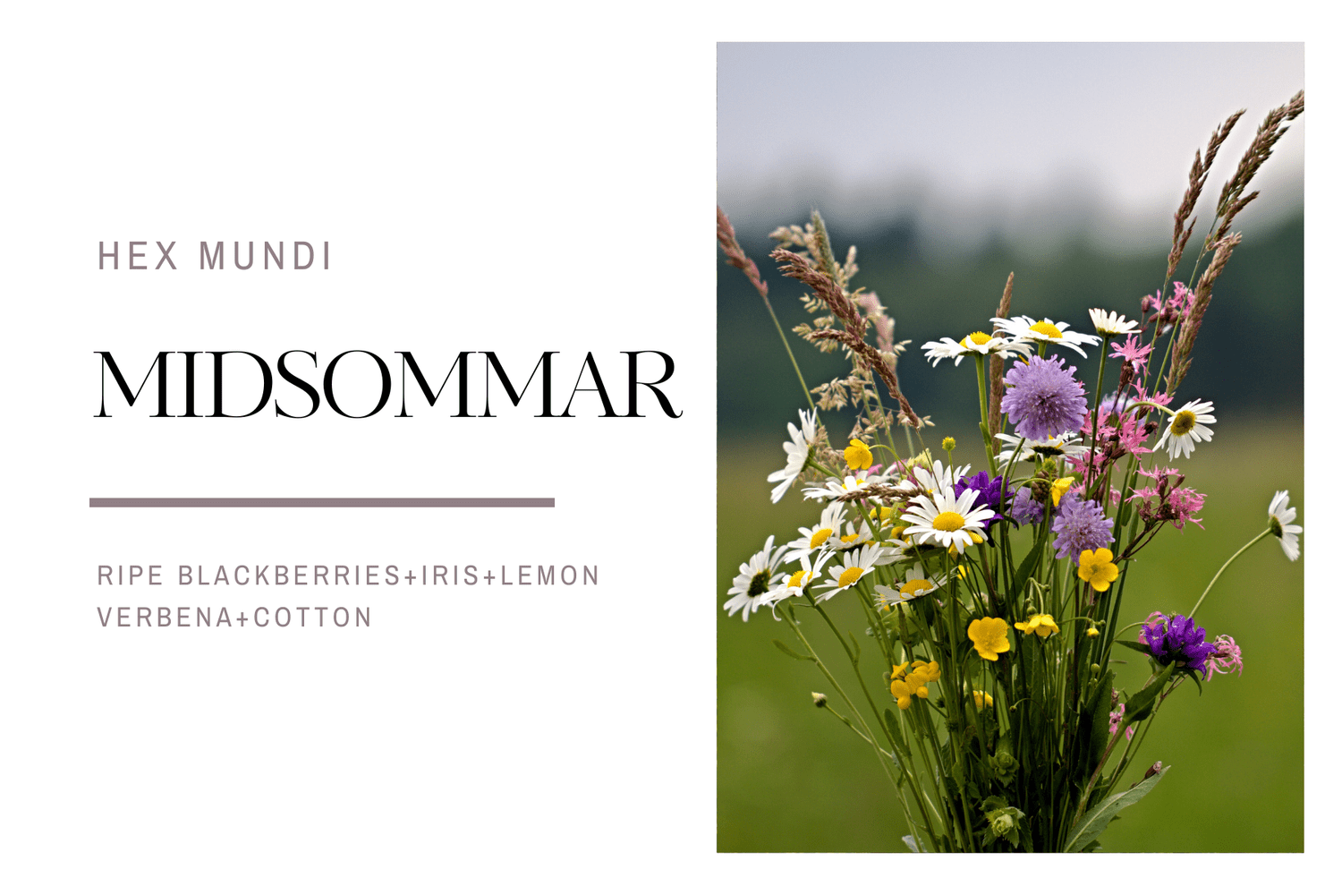 Midsommar Hand & Body Wash ~ Pagan Holiday Collection