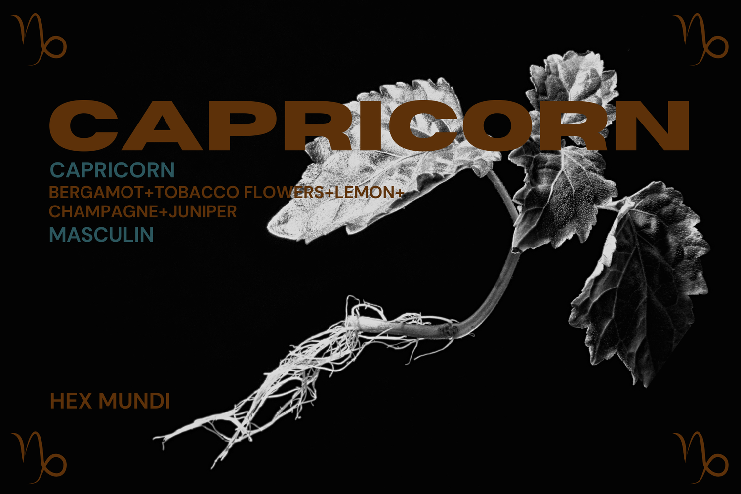 Capricorn Parfum - Masculin