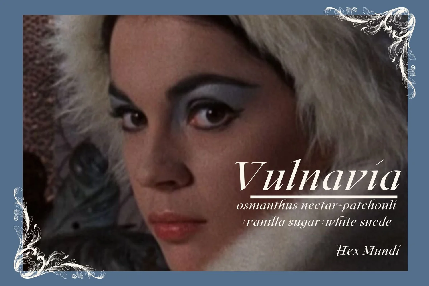 Vulnavia Hand & Body Wash