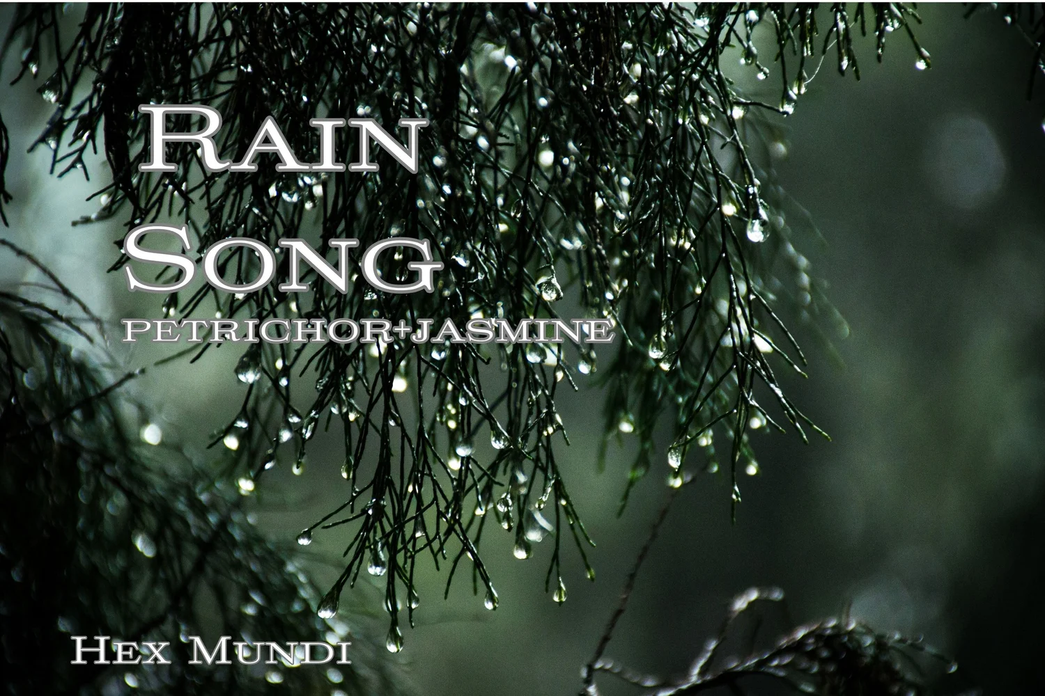 Rain Song Hand & Body Wash