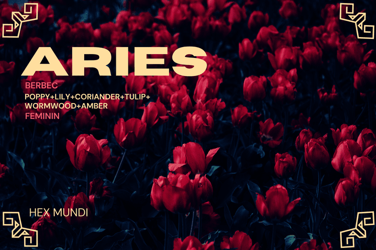 Aries Parfum - Feminin