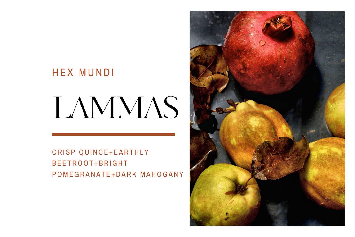 Lammas Hand & Body Wash ~ Pagan Holiday Collection