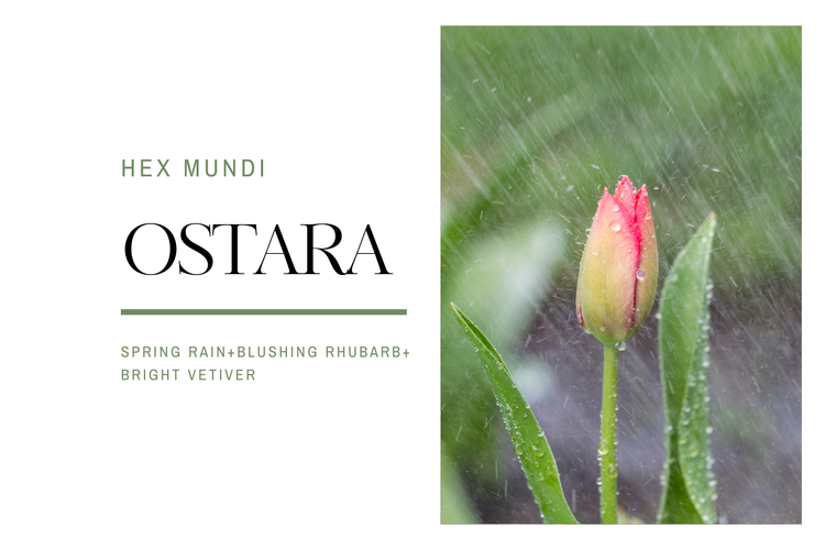 Ostara Hand & Body Wash ~ Pagan Holiday Collection