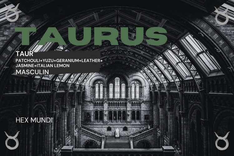 Taurus Parfum - Masculin