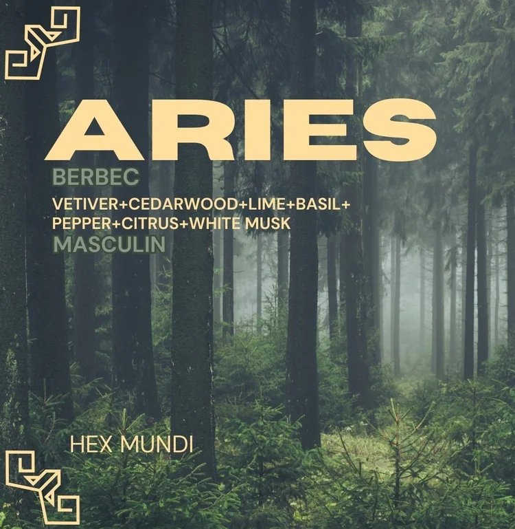 Aries Parfum - Masculin