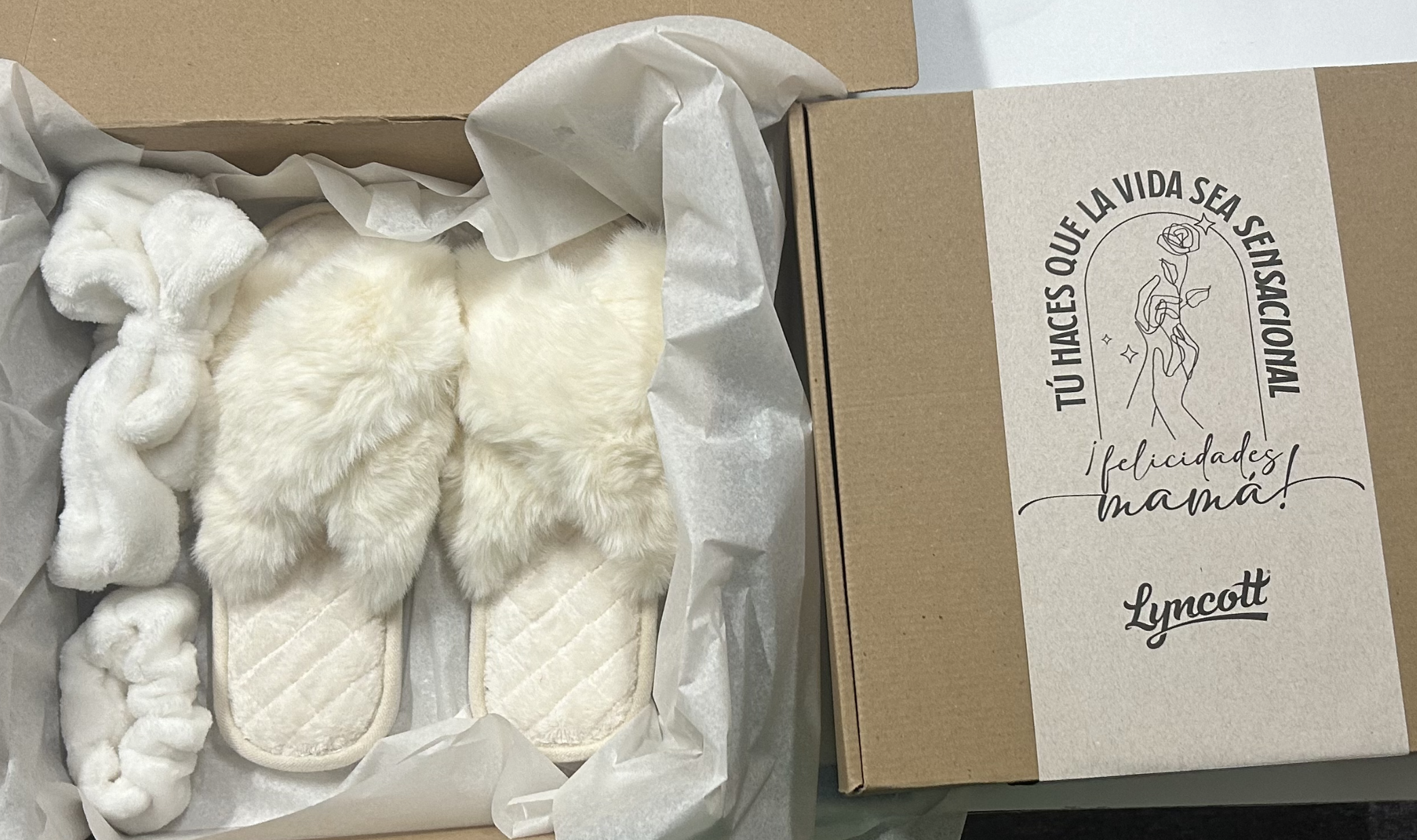 Captura de pantalla 2024-07-09 a la(s) 6.27.25 p.m..png