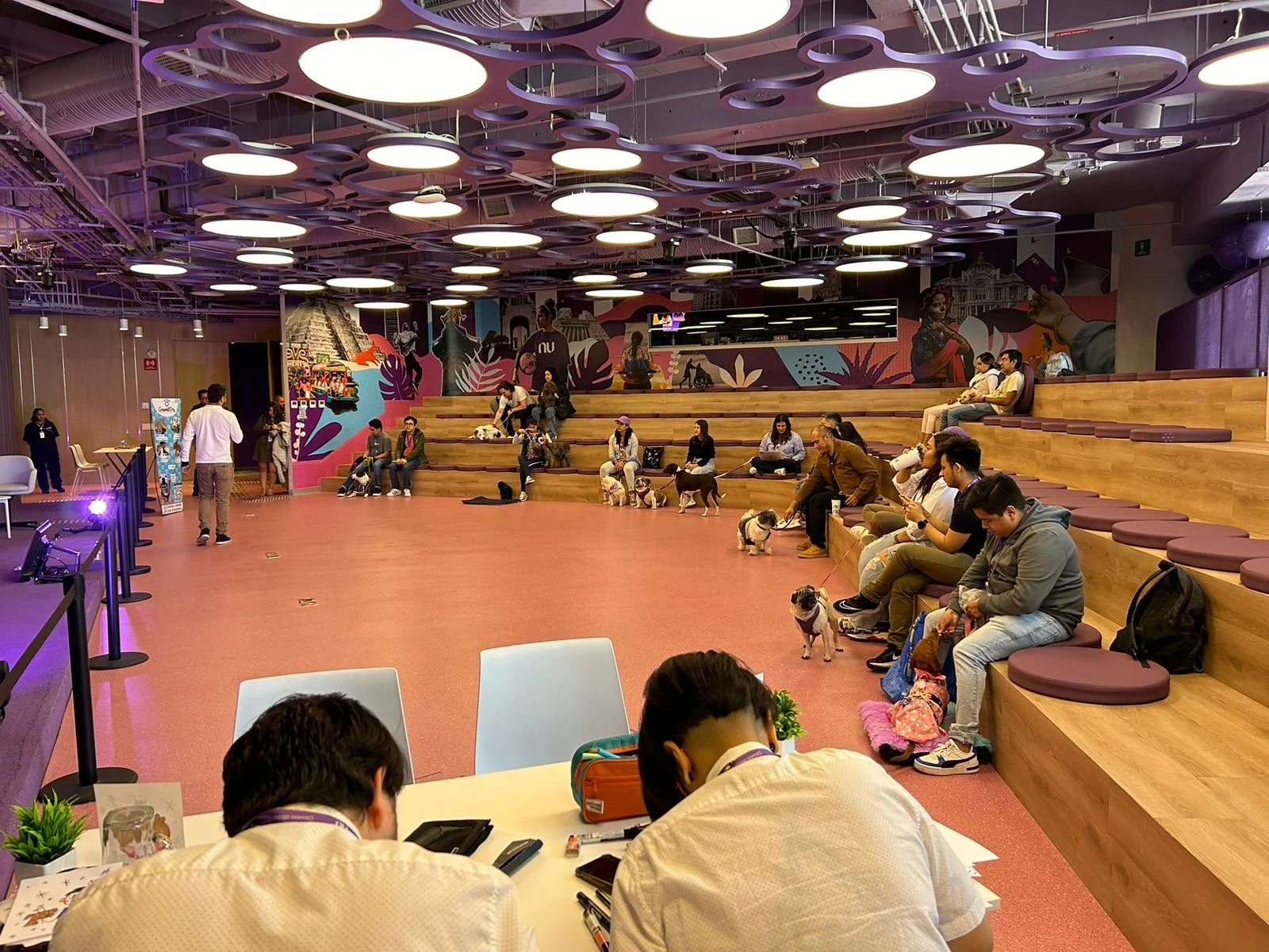 creativo 8s_petday_nu bank 9.JPG