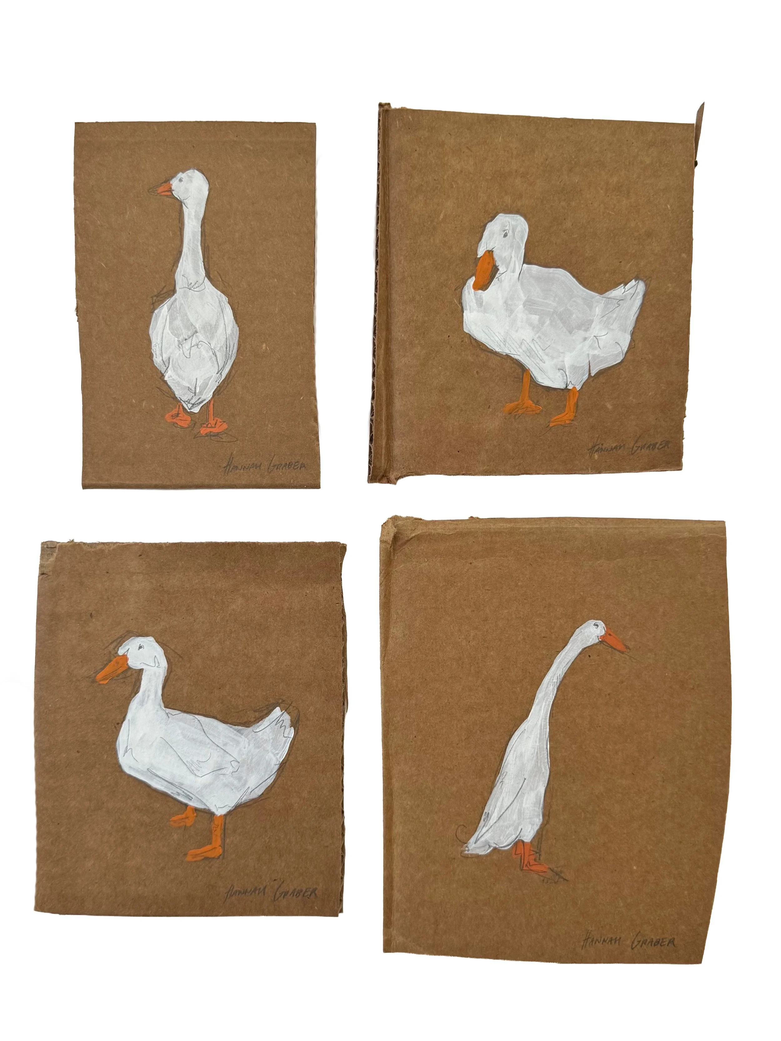 Duck Examples EDIT.jpg