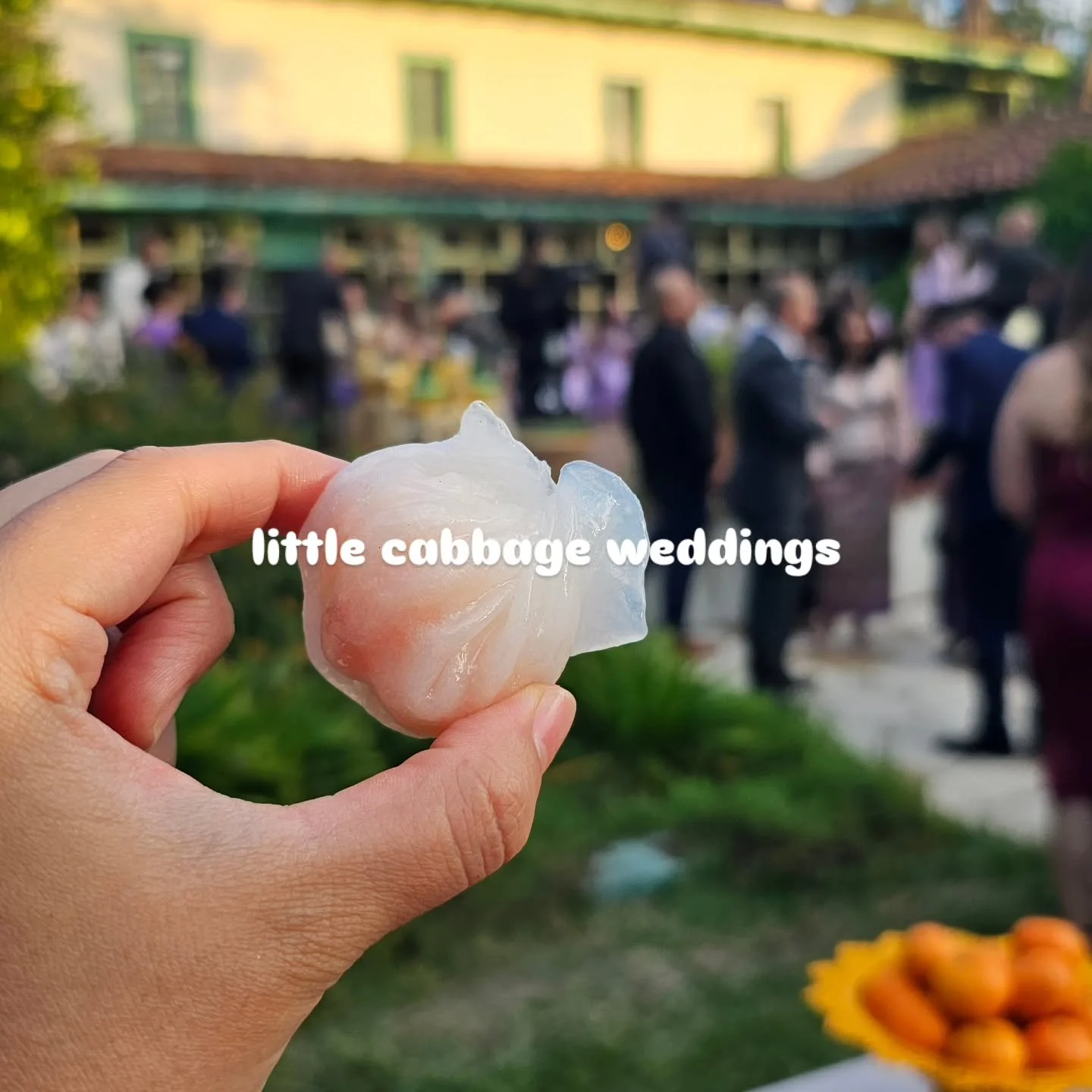 now booking 2026!!
&raquo;
I want to plan the quirky, nontraditional, colorful, hybrid-culture alternative, never-been-done-before, off-the-beaten-path, love-is-love, delicious, cozy, good-for-the-earth kind of weddings.