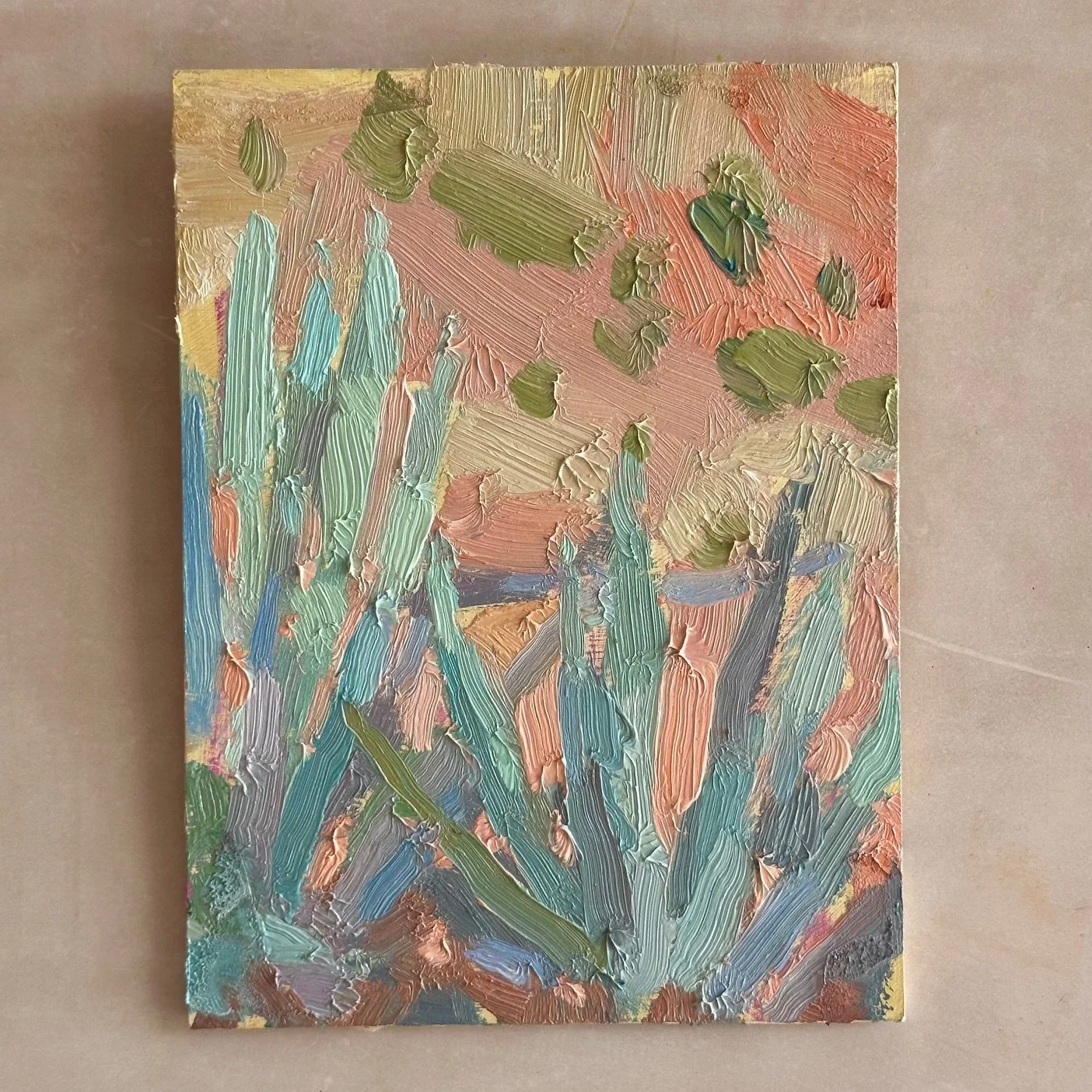 'Aloe Plants II, Bab Ourika'