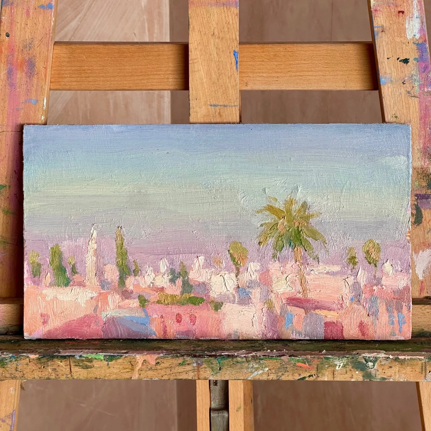 'Dusty Morning Palm, Marrakech'