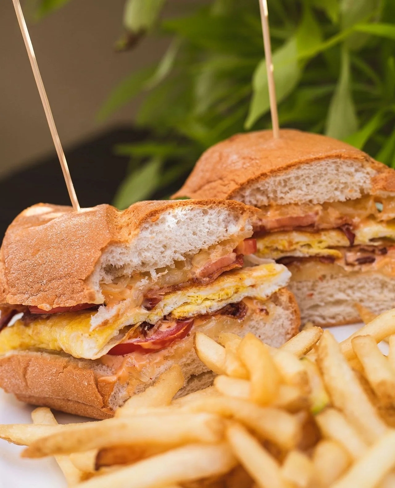 🚨NEW BRUNCH ITEM ALERT🚨⁠
⁠
Bacon, Egg &amp; Cheese Torta with melted jack, sliced tomato, and chipotle mayo on a grilled gluten-free baguette. This baby slaps. ⁠
⁠
Serving brunch 11am&ndash;4pm today!