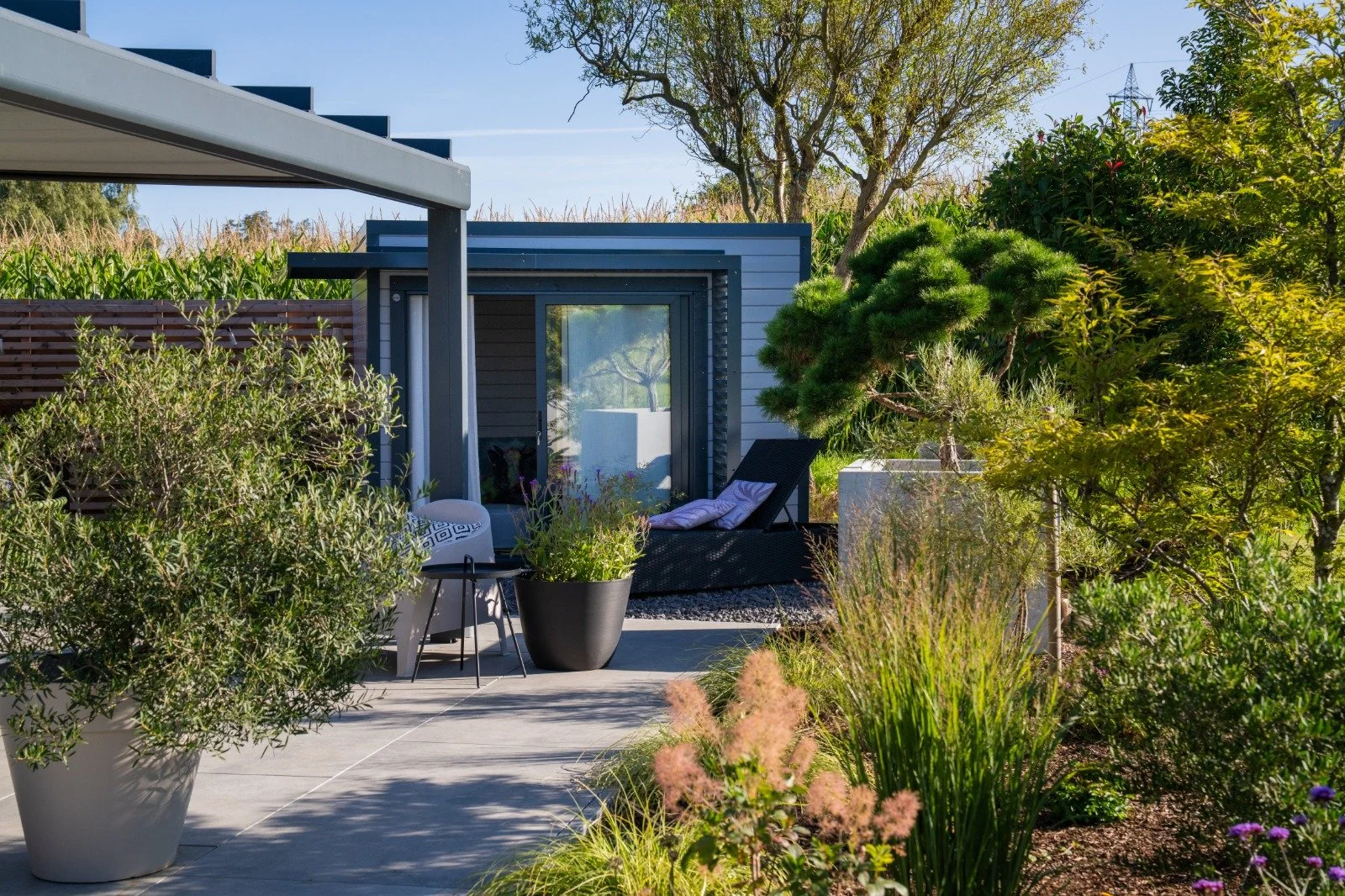 WhatsApp Image 2026-02-26 at 15.27.36.jpeg